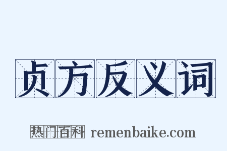 贞方反义词是什么意思的图片